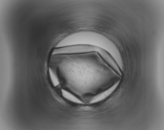 X0000113640397200910091541