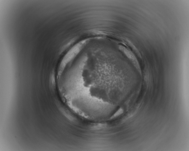 X0000113640398200910091541