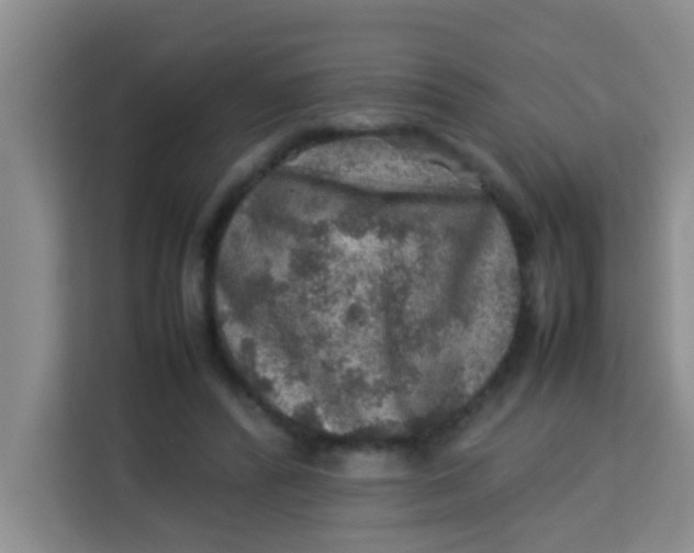 X0000113640400200910091541