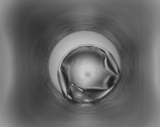 X0000113640401200910091541