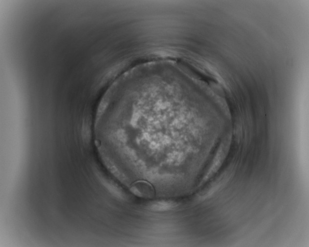 X0000113640402200910091541