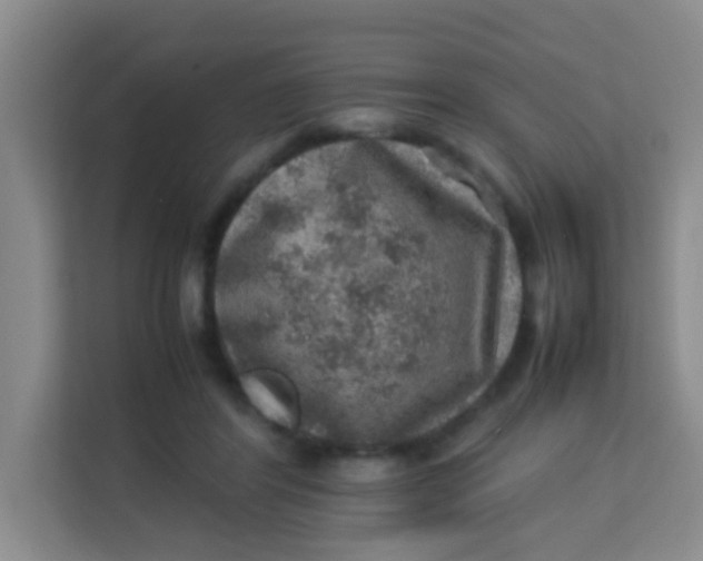 X0000113640404200910091541