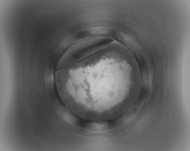 X0000113640405200910091541