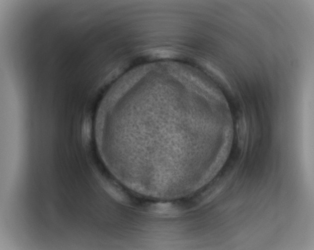 X0000113640406200910091541