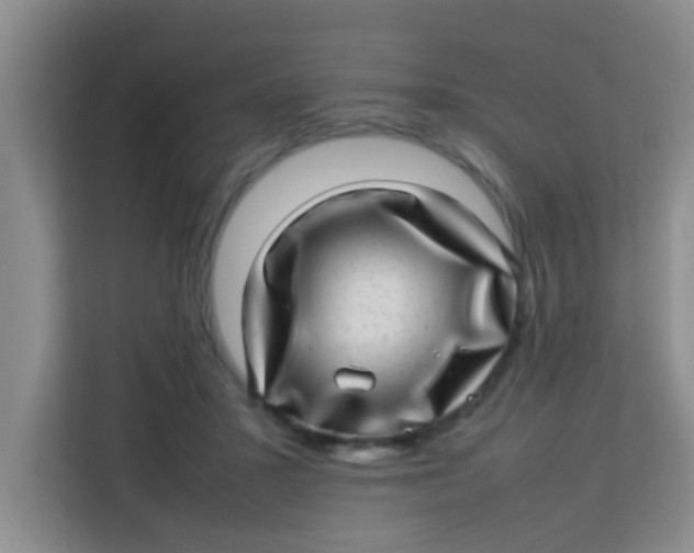 X0000113640407200910091541