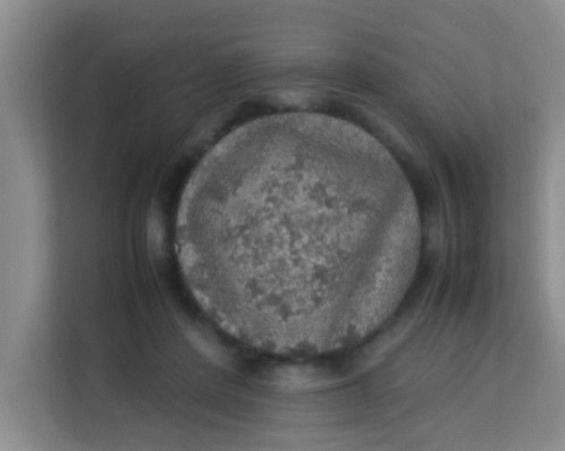 X0000113640408200910091541