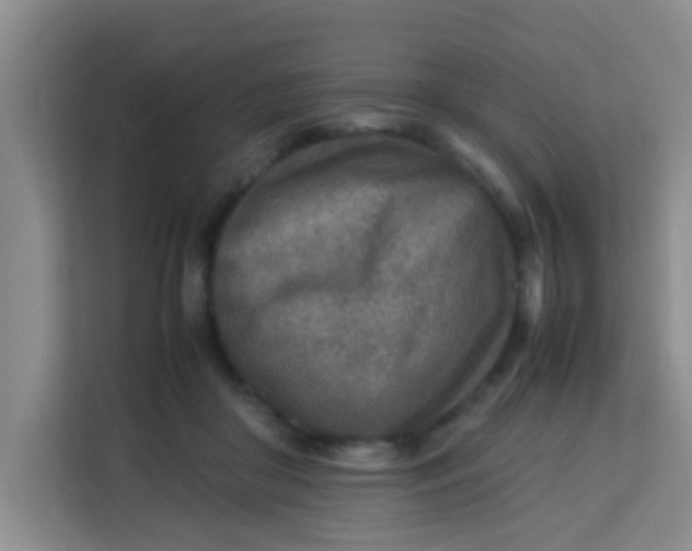 X0000113640410200910091541