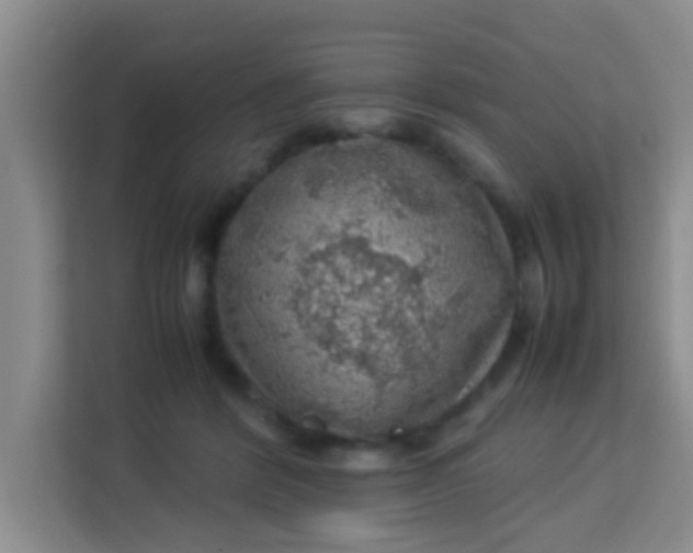 X0000113640412200910091541