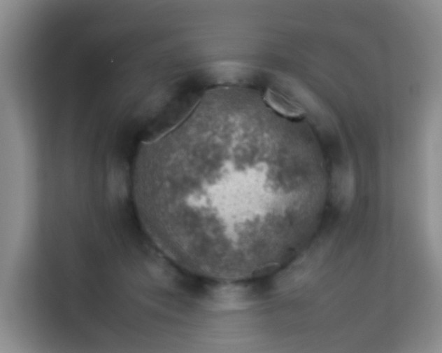 X0000113640413200910091541