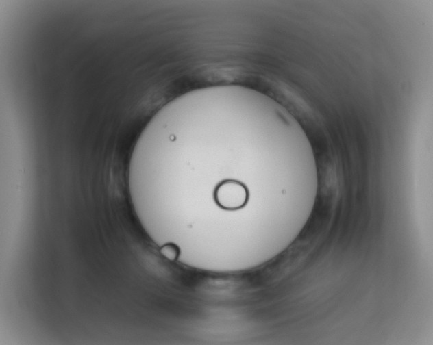 X0000113640414200910091541