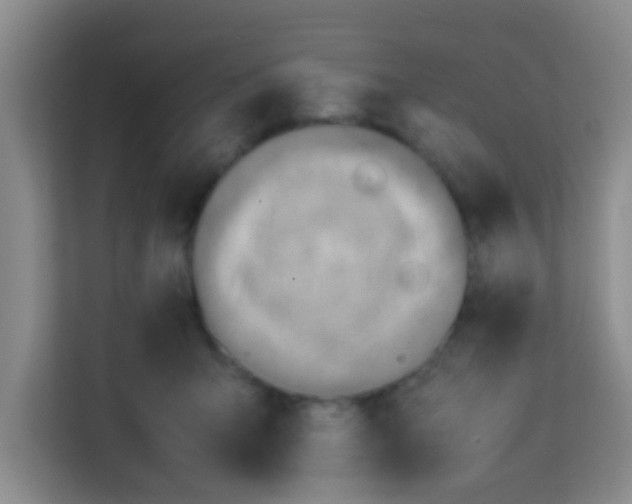 X0000113640415200910091540