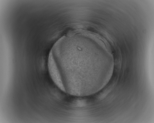 X0000113640416200910091540