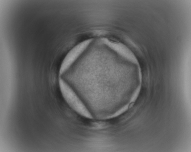 X0000113640417200910091540