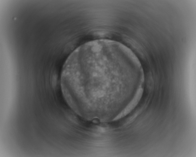 X0000113640420200910091540