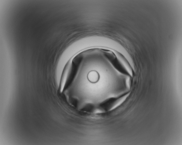 X0000113640421200910091540