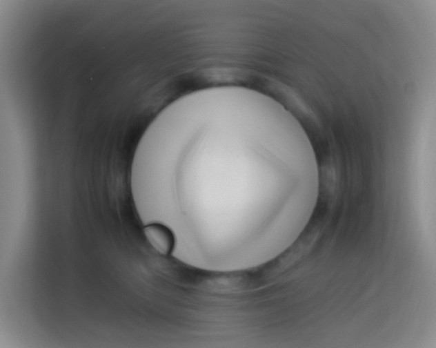 X0000113640422200910091540