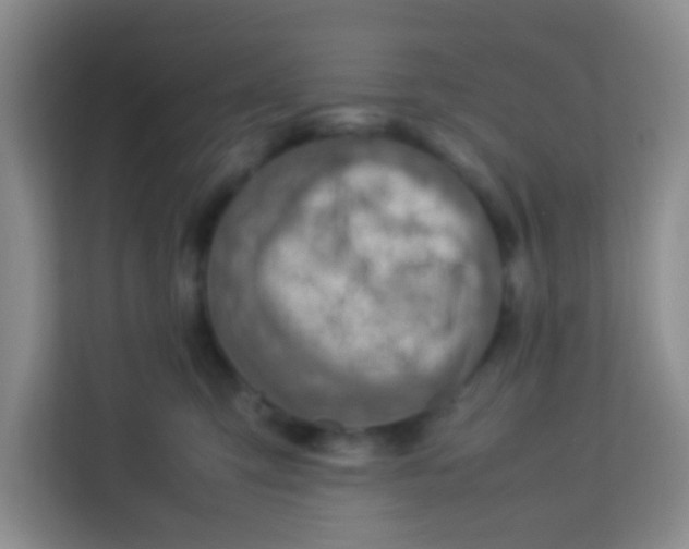 X0000113640423200910091540