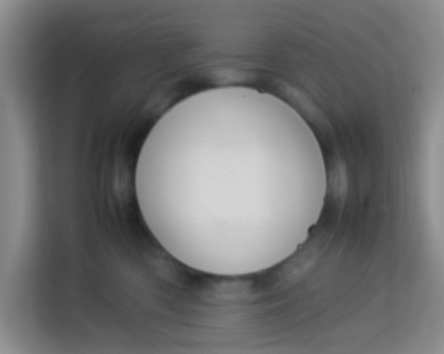 X0000113640426200910091540