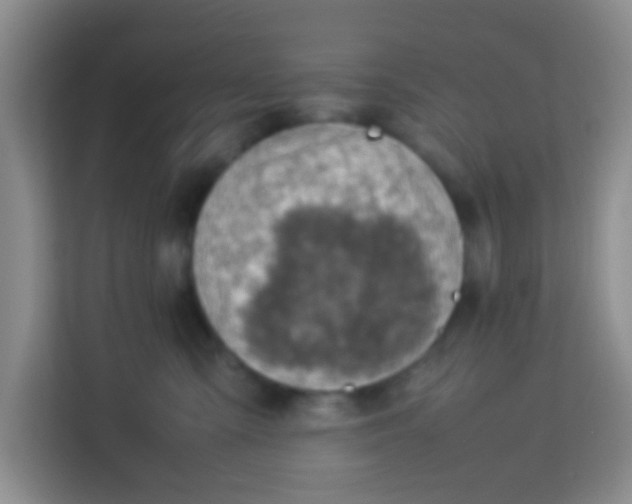 X0000113640427200910091540