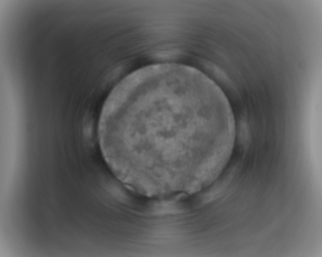 X0000113640428200910091540