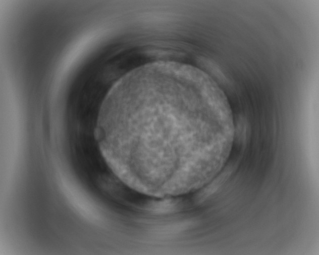 X0000113640430200910091540