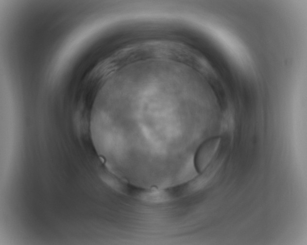 X0000113640431200910091540