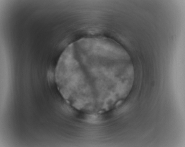 X0000113640432200910091540