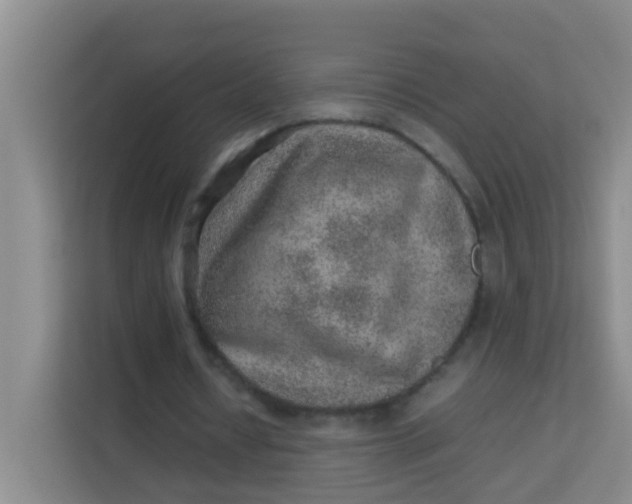 X0000113640434200910091540