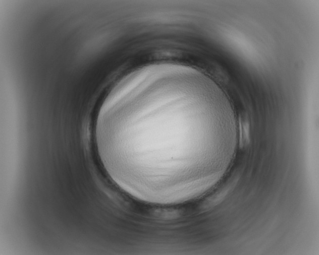 X0000113640435200910091540