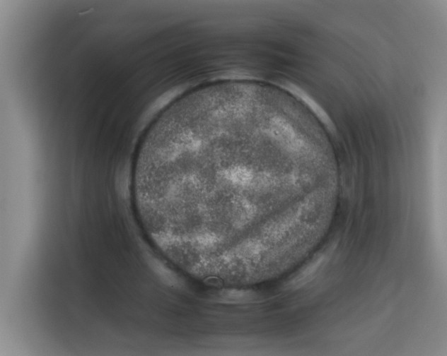 X0000113640437200910091540