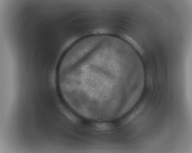 X0000113640439200910091540