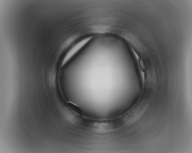 X0000113640440200910091540