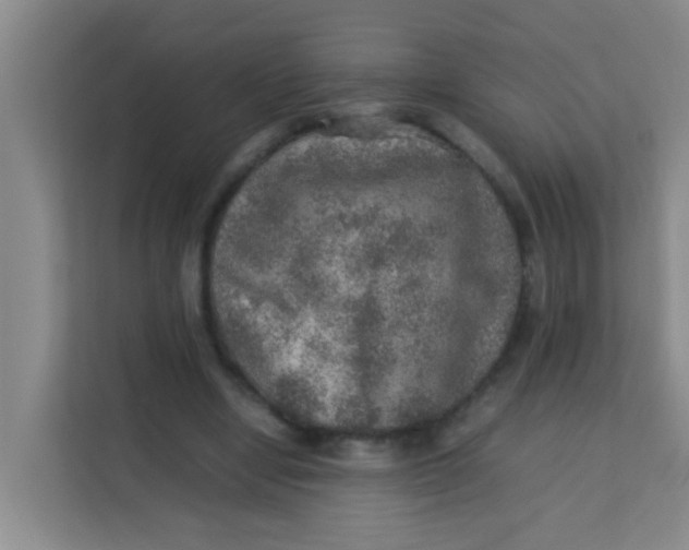 X0000113640442200910091540