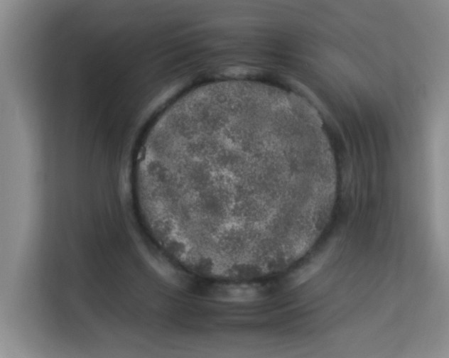 X0000113640443200910091540