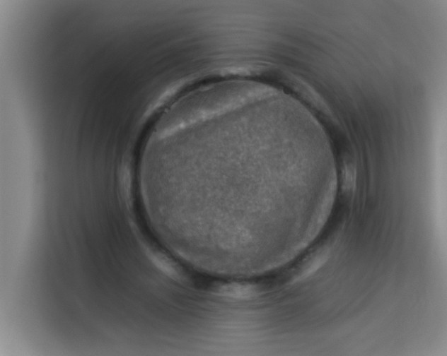 X0000113640444200910091540