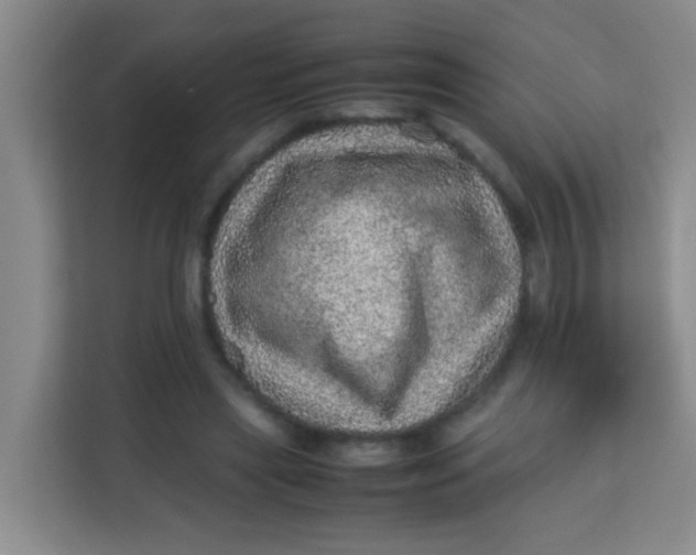 X0000113640445200910091540