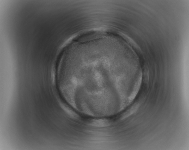 X0000113640446200910091540