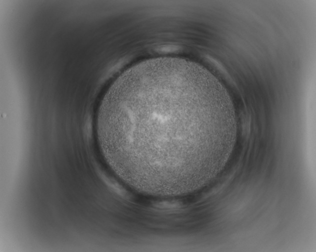 X0000113640447200910091540