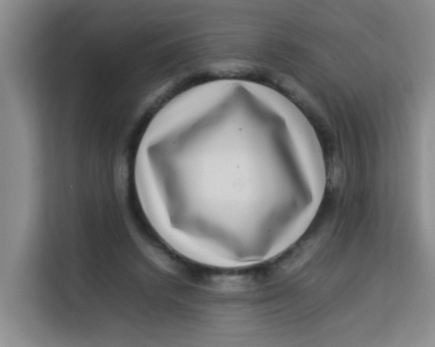 X0000113640448200910091540