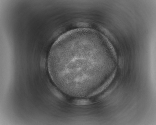 X0000113640449200910091540