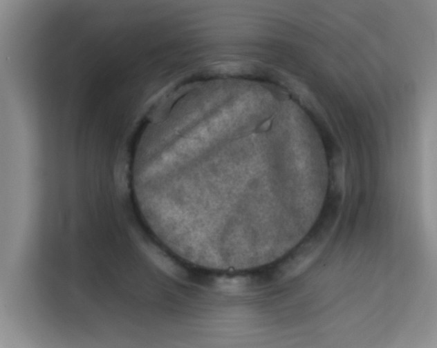 X0000113640450200910091540