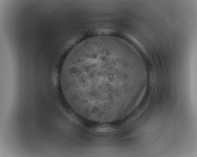 X0000113640451200910091540