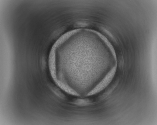 X0000113640455200910091540