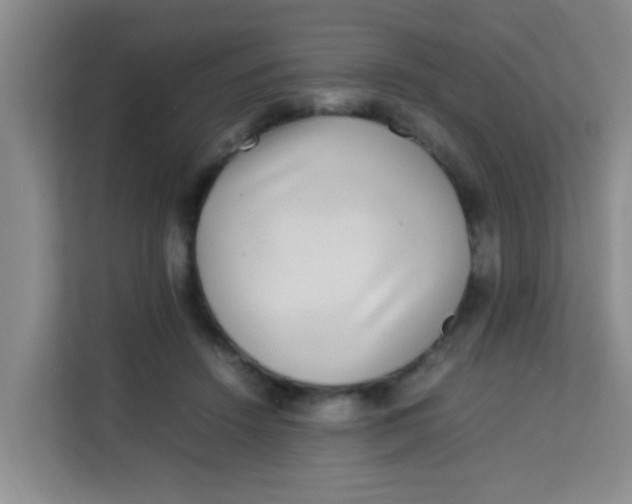 X0000113640456200910091540