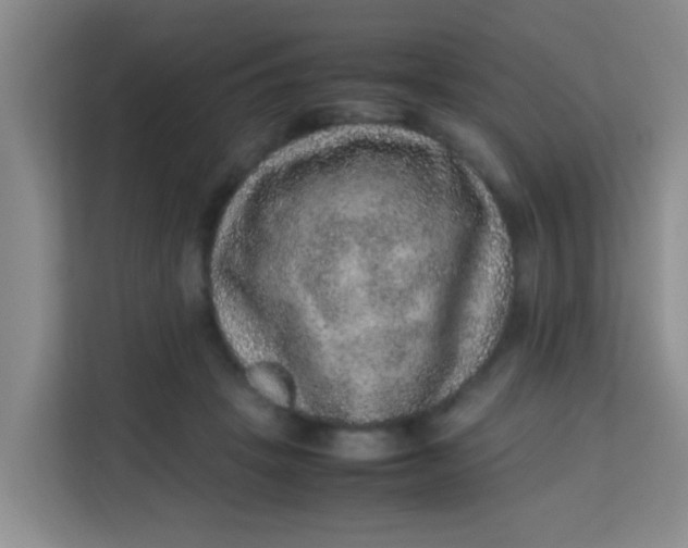 X0000113640457200910091540