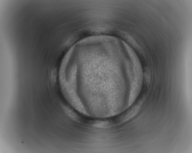 X0000113640458200910091540