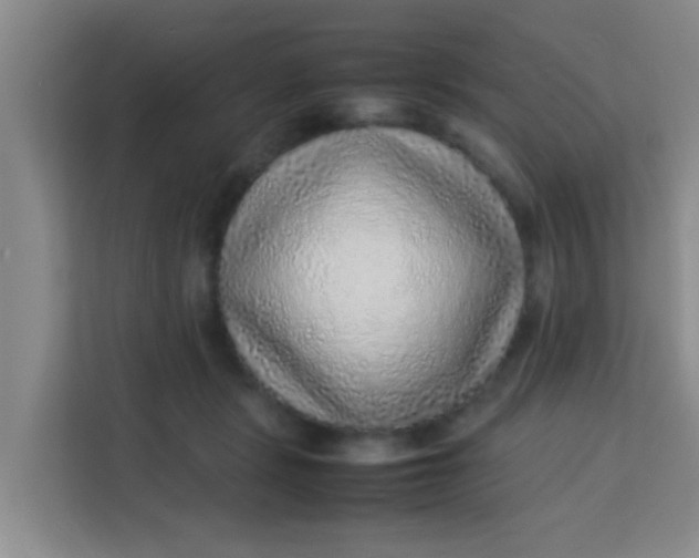 X0000113640461200910091540