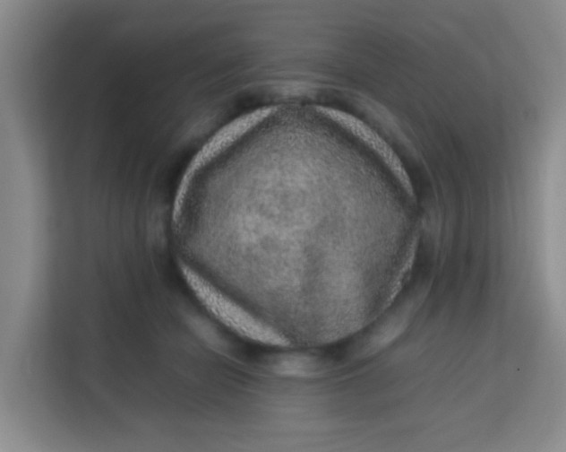 X0000113640462200910091540