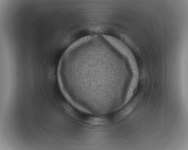 X0000113640466200910091540