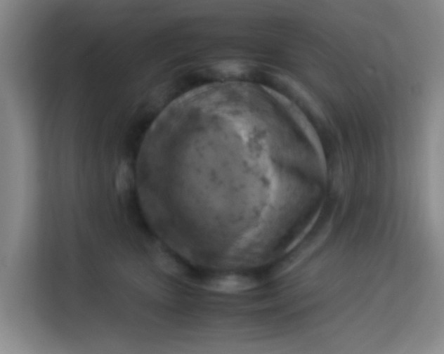 X0000113640467200910091540